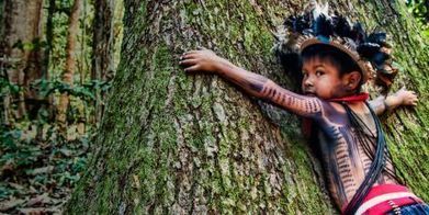 Avaaz : "[Pour un Règne du vivant] Halte à l'apocalypse en Amazonie... | Ce monde à inventer ! | Scoop.it