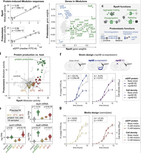 Dissecting host stress responses for predictable heterologous gene expression in E. coli | nar | RMH | Scoop.it