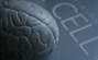 Científicos lograron crear células del cerebro humano - FayerWayer | Educación Siglo XXI, Economía 4.0 | Scoop.it