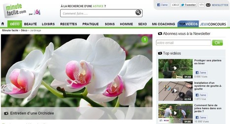 Jardinage : Conseils et astuces en vidéo pour entretenir le jardin - Minutefacile.com | Hobby, LifeStyle and much more... (multilingual: EN, FR, DE) | Scoop.it