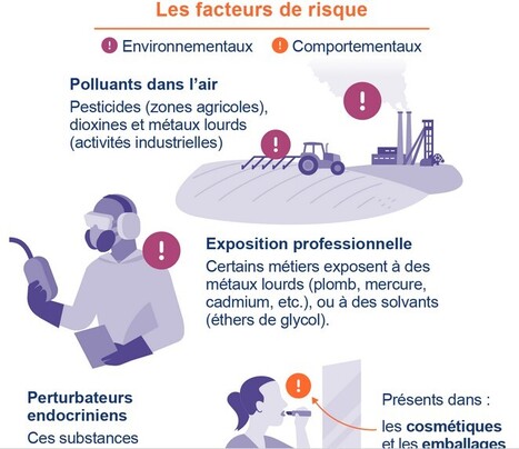 Quel est l'impact de l'environnement sur la fertilité ? | EntomoNews | Scoop.it
