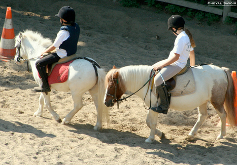 Au Salon du Cheval de Paris : la journée des enfants | Salon du Cheval | Scoop.it
