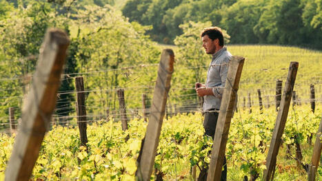 Vin : les Châteaux Montus & Bouscassé d&eacute;crochent trois &eacute;toiles et se distinguent parmi les meilleurs domaines de France | Professionnels du tourisme du Grand Auch C&oelig;ur de Gascogne | Scoop.it