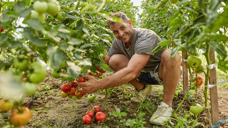 How to use gardening to practice mindfulness and manage your mental health | Physical and Mental Health - Exercise, Fitness and Activity | Scoop.it