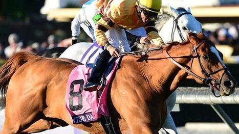 Sydney opens cheque book to the tune of $37.5 million in quest to get the greatest show on turf | The Business of Sports Management | Scoop.it