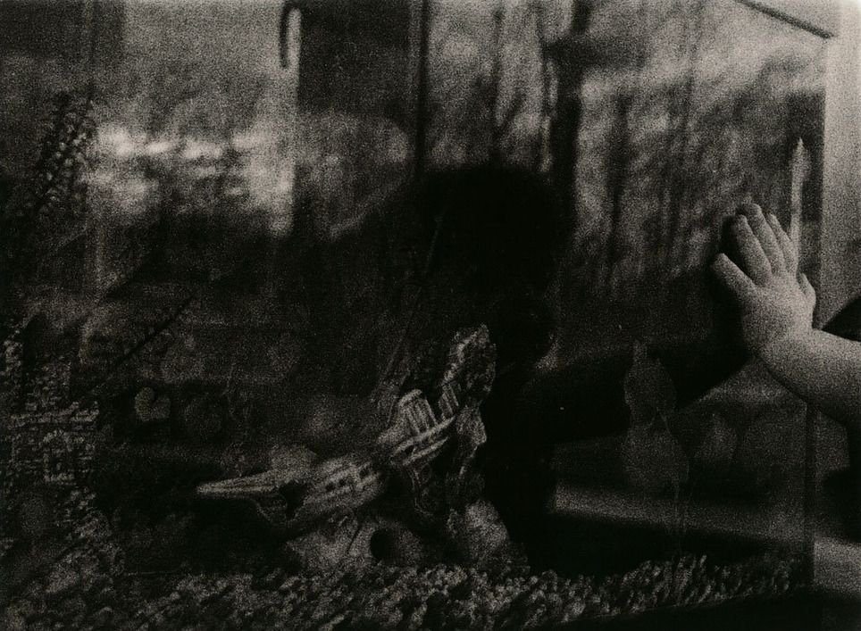Anna Block | Livres photo | Scoop.it