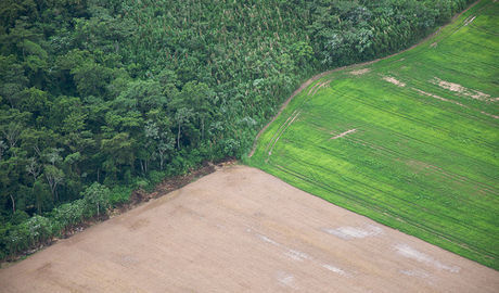 Brésil : une nouvelle loi favoriserait la déforestation | Biodiversité - @ZEHUB on Twitter | Scoop.it