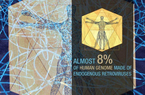 Retrovirus: a primer | Genetic Engineering in the Press by GEG | Scoop.it