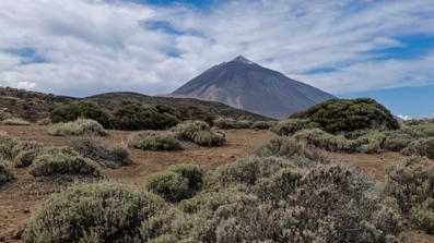 Historiallinen maanjäristys Teneriffalla | 1Uutiset - Lukemisen tähden | Scoop.it