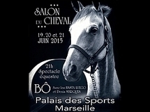 Marseille.fr - Premier Salon international du cheval au Palais des sports | Salon du Cheval | Scoop.it