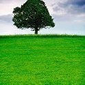 Communications Planning can Still Make a Difference | hr forest | Internal Communications Tools | Scoop.it