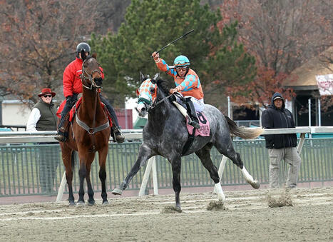HISA Provisionally Suspends Paco Lopez After Incident At Parx | Racing Regulatory Issues | Scoop.it