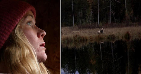 Följ med på björnsafari vid gränsen till Ryssland – svårare att se en björn än ett lejon | 1Uutiset - Lukemisen tähden | Scoop.it