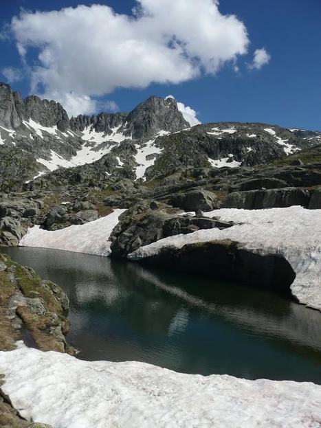 Les abords du lac det Mail dans le massif du Néouvielle le 15 juillet 2014 | Simone Fréchou | Vallées d'Aure & Louron - Pyrénées | Scoop.it