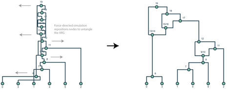 tskit_arg_visualizer: interactive plotting of ancestral recombination graphs | bft | RMH | Scoop.it