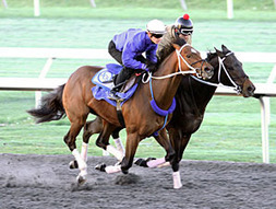 Three Blue Grass Hopefuls Work at Keeneland | BloodHorse.com | Racing News | Scoop.it