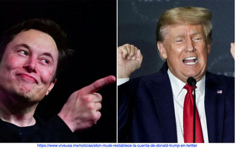 .@mashable ::: #Elon_Musk est&aacute; restableciendo #CUENTAS_de_TWITTER_PROHIBIDAS.&nbsp;Aqu&iacute; est&aacute; qui&eacute;n ha vuelto&hellip; Son casi #exclusivamente figuras de #derecha&hellip;Por&nbsp;@MattBinder. &ndash; | Le BONHEUR comme indice d'&eacute;panouissement social et &eacute;conomique. | Scoop.it