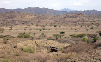World's Oldest Stone Tools Found That Predate Modern Humans By 500,000 Years | Amazing Science | Scoop.it