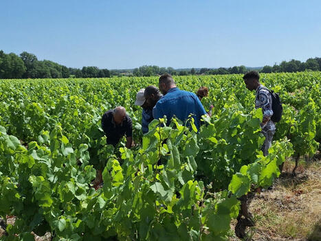 « Ici, il y a plein de métiers » : le monde agricole face aux défis croissants du recrutement | Employabilité et emploi | Scoop.it