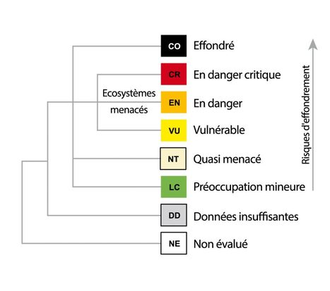 La Liste rouge des écosystèmes menacés en France désormais disponible en ligne | Insect Archive | Scoop.it