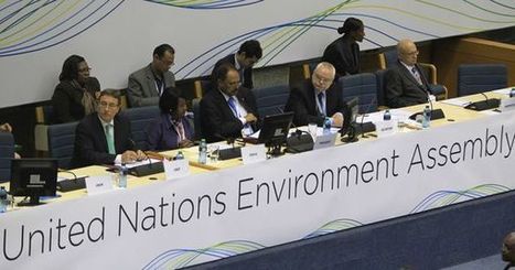 L'ONU lance sa première Assemblée pour l'environnement | Economie Responsable et Consommation Collaborative | Scoop.it