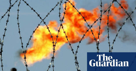 Energy crisis: where could Europe’s gas come from if Russia cuts exports? | Energy industry | The Guardian | International Economics: IB Economics | Scoop.it