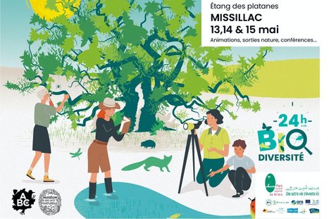 Les 24 heures de la Biodiversité à Missillac | Variétés entomologiques | Scoop.it