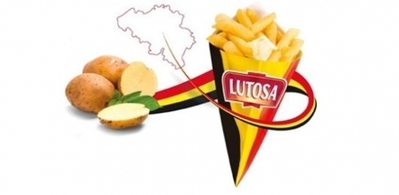 Frites surgelées : Findus rachète Lutosa | agro-media.fr | Pommes de terre transformées | Scoop.it