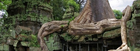 Ecosophy: Nature&rsquo;s Guide to a Better World | Peer2Politics | Scoop.it