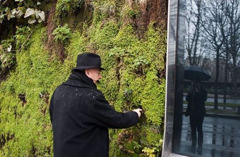 Paris : le mur végétal du quai Branly va pouvoir reverdir | Mécénat participatif, crowdfunding & intérêt général | Scoop.it