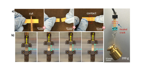 This self-healing material could solve many Wearable Woes | Future  Technology | Scoop.it