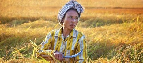 Cost of Adapting to Climate Change Could Hit $500 Billion per year by 2050 - UNEP | International development | Scoop.it