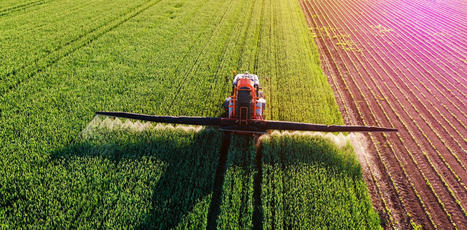 Comment les nouveaux OGM relancent la question de la brevetabilité du vivant | SCIENCES DU VEGETAL | Scoop.it