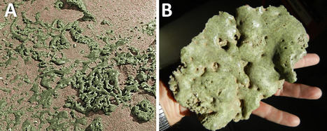 New evidence supports theory of recent extraterrestrial impact around 13,000 years ago | Amazing Science | Scoop.it
