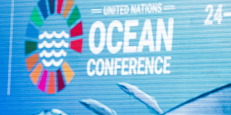 Conférence sur les océans : les Français peu sensibilisés au risque tsunami en Méditerranée | Biodiversité | Scoop.it