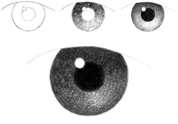 The Pupil of Iris - Eye Drawing Tutorial | Draw...