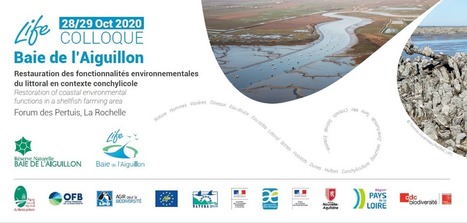 Restauration des fonctionnalités environnementales du littoral en contexte conchylicole | Biodiversité | Scoop.it