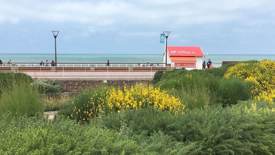 Le littoral de Seine-Maritime à l'heure de “Lire à la plage” | Une semaine d'actu - Newsletter de veille de l'AURH | Scoop.it