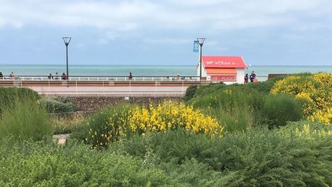 Le littoral de Seine-Maritime &agrave; l'heure de &ldquo;Lire &agrave; la plage&rdquo; | Une semaine d'actu - Newsletter de veille de l'AURH | Scoop.it