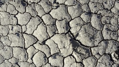 U.N. bodies want to tackle drought to avert food crisis | Climate Change & DRR in East Africa | Scoop.it