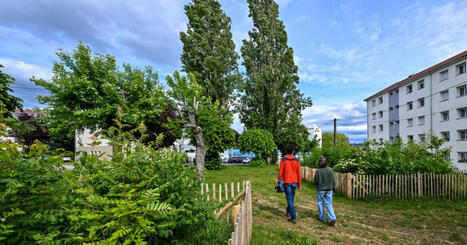 Besan&ccedil;on. Plant&eacute;e par les habitants, la petite for&ecirc;t de Montrapon devient un &icirc;lot de fra&icirc;cheur | Regards crois&eacute;s sur la transition &eacute;cologique | Scoop.it