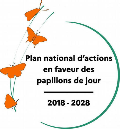 Séminaire national du Plan national d’actions « Papillons de jour» | Biodiversité | Scoop.it