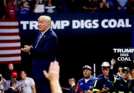 ‘I don’t care to listen to him anymore’: Coal miners turn their backs on Trump over failed promises – Raw Story | PSLabor:  Your Union Free Advantage | Scoop.it