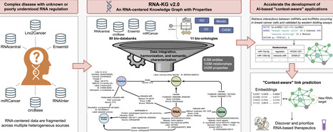 RNA-KG v2.0: an RNA-centered Knowledge Graph with Properties | nar | RMH | Scoop.it