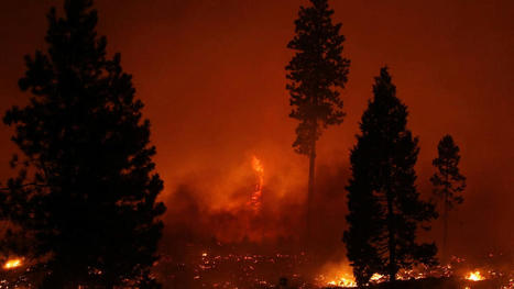 California closing its national forests as wildfires spread - USATODAY.com | Operation Deimos | Scoop.it