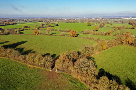 Le &laquo;&nbsp;guichet unique&nbsp;&raquo; des haies promis aux agriculteurs risque-t-il d&rsquo;encourager leur destruction&nbsp;? | Les Colocs du jardin | Scoop.it