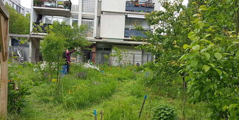 &laquo;&nbsp;En chassant la nature de la ville, on l&rsquo;a vid&eacute;e de sa sociabilit&eacute;&nbsp;&raquo; | Nature en ville | Scoop.it