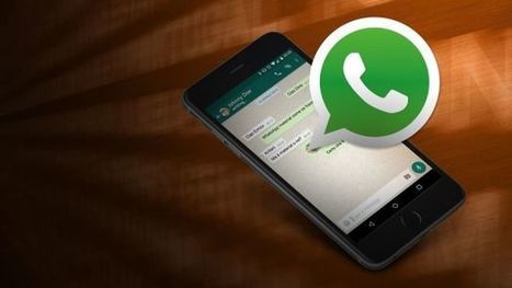 Mega-L&uuml;cke in WhatsApp: Checkt sofort Eure Einstellungen! | #Privacy | Social Media and its influence | Scoop.it
