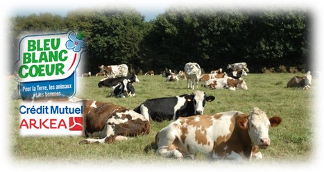 Démarche Éco-méthane : 750 exploitations laitières engagées dans la décarbonation | Lait de Normandie... et d'ailleurs | Scoop.it