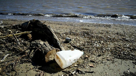 La pollution plastique représente une menace "grave et croissante" pour la santé, alertent des scientifiques - France Info | Biodiversité | Scoop.it